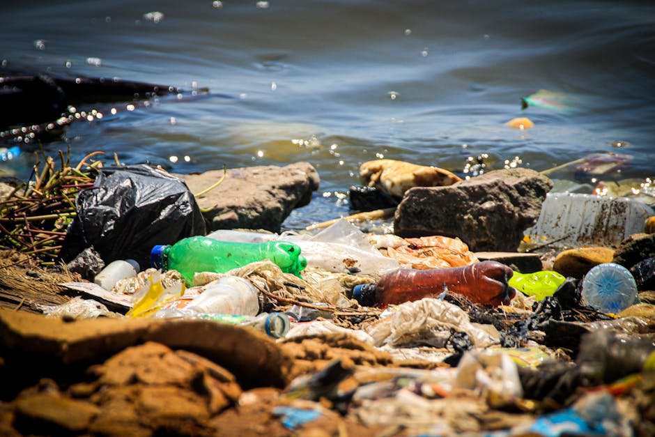 A shoreline area contaminated with various types of litter, including plastic bottles in green, brown, and clear colors, some with labels, along with crumpled plastic bags and food wrappers. The debris is scattered across the rocky coast, with several large stones and pebbles visible towards the water's edge. The water in the background appears calm with gentle ripples and a few floating pieces of trash. The scene highlights environmental pollution caused by plastic and domestic waste, emphasizing the importance of proper rubbish disposal and waste management. Natural light illuminates the scene, revealing the textures of the stones, plastic, and water, creating a clear representation of litter accumulation in a natural environment often targeted by rubbish removal services like those offered by Rubbish Clearance Hounslow, which promote responsible waste handling to prevent such pollution.