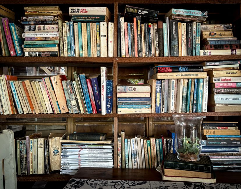 Interior view of a large wooden bookshelf filled with a diverse collection of books, arranged in multiple horizontal shelves. The books vary in size, color, and spine design, including hardcover and paperback editions, some leaning or stacked. The top shelf contains books with predominantly white, black, and beige spines, with titles visible such as 'Hidden John Agendas' and 'Ludlum.' The middle shelves feature more colorful titles, with some books stacked vertically and others leaning at slight angles. On the lower shelf, there are additional books, some appearing slightly aged, and a clear glass terrarium with green succulent plants placed on top of a closed black hardcover book, along with a small stack of books beside it. The environment suggests an indoor space, likely a personal reading or study area. The scene is well-lit, with natural light illuminating the books and objects, creating a warm, inviting atmosphere suitable for quiet reading or bibliophile display, with occasional hints of tidy rubbish or clutter due to the eclectic arrangement typical for personal space but not specifically indicating waste or disposal activity.